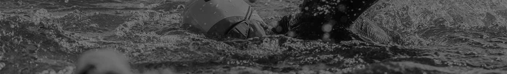 Ангел Франгов cover