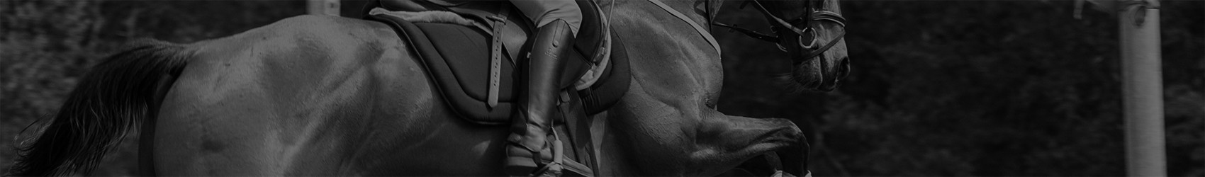 Валентин Георгиев cover