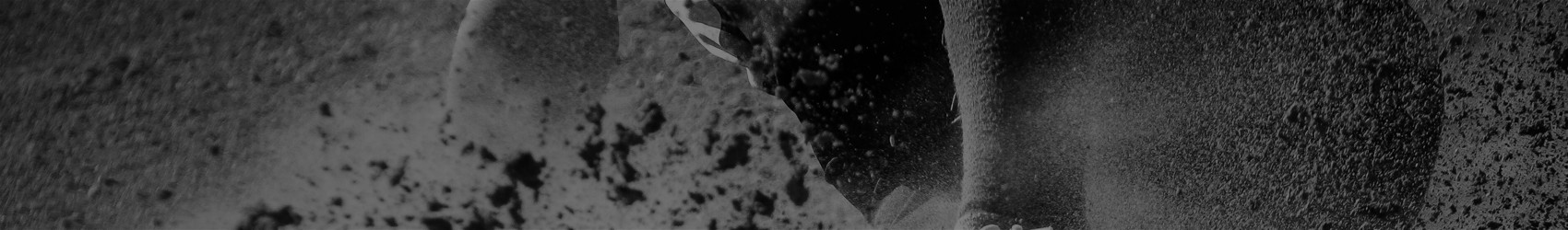 Гергана Ханджийска cover